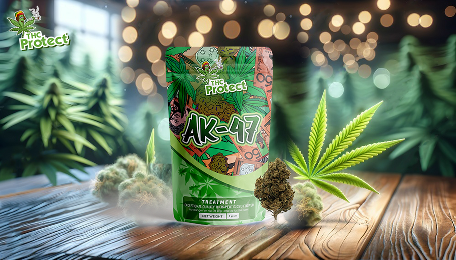 AK-47 CBD: ¿La flor de CBD más potente del mercado?