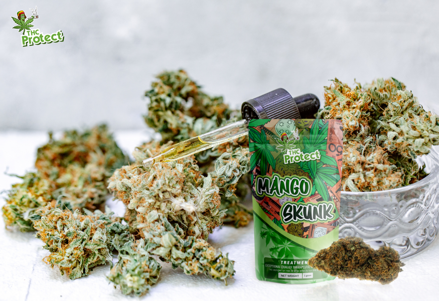 Descubra la potencia excepcional de la flor Mango Skunk CBD