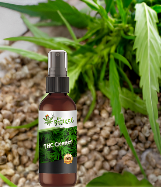 Spray anti-THC: ¿una solución eficaz para pasar la prueba de saliva?