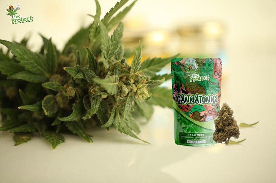 Los beneficios de las flores de Cannatonic CBD para la salud y el bienestar